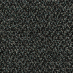 Tapis d'entrée gris