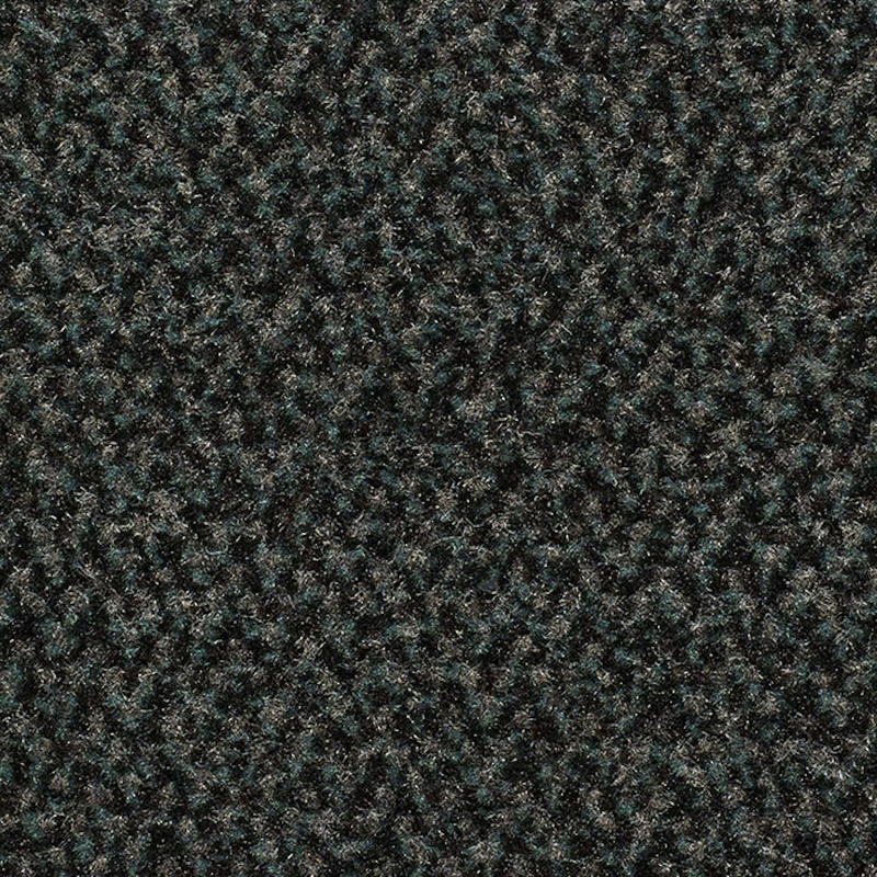 Tapis d'entrée gris