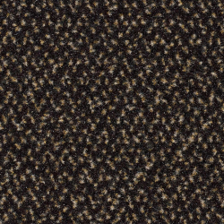 Tapis d'entrée mocha