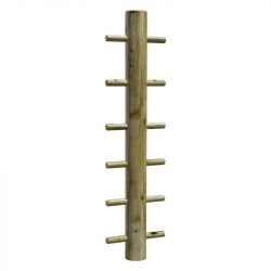 module de sport arbre