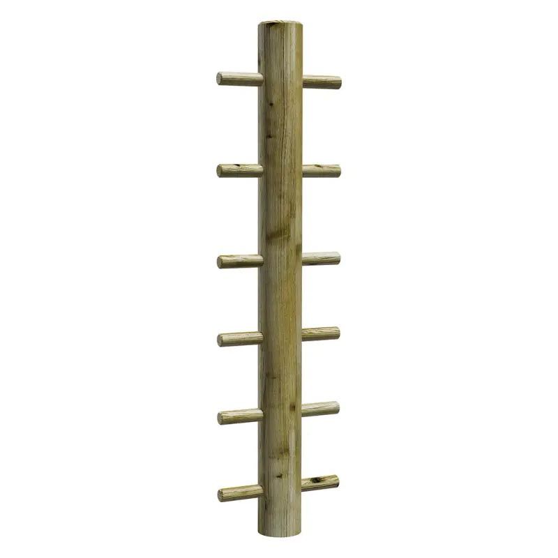 module de sport arbre