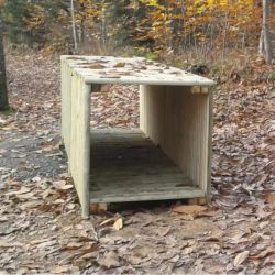 photo tunnel rampant