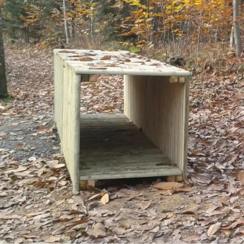 photo tunnel rampant