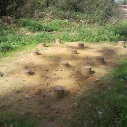 Photo Pas de géants