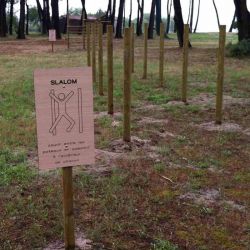 Photo Slalom avec panneau