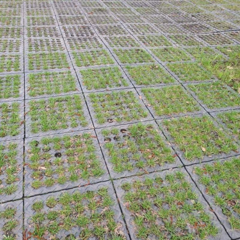 Dalles de stabilisation ajourées installées sur une surface engazonnée